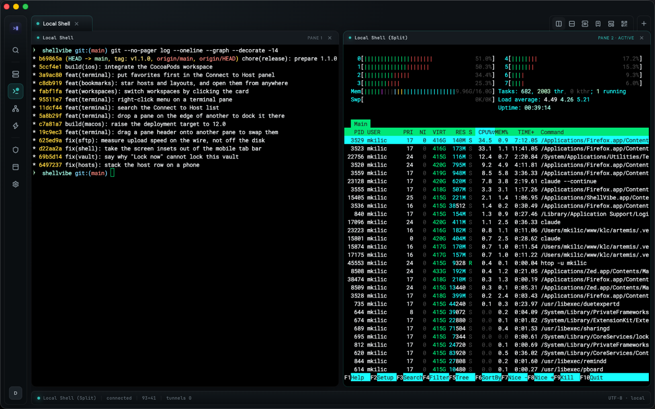 Two terminal panes side by side, a git log on the left and htop on the right, inside one ShellVibe tab